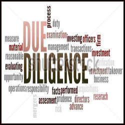 due delligence services